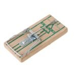 ANTIOXIDO ROJO  1/2 Lt