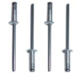 DESINFECTANTE BACTERICIDA X 1LT